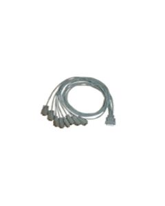 Perle 1.22 m Data Transfer Cable